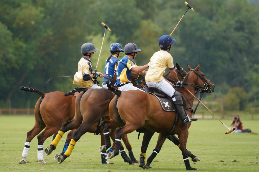 What is a Polo Shirt? The Essential Guide to Style, Science, and Selection
