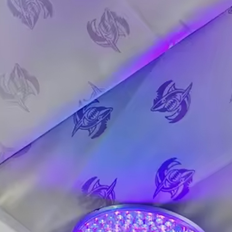 Hydrochromic& Printing